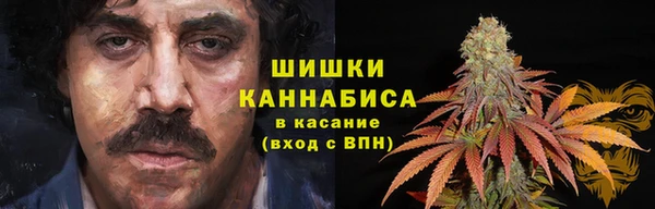 гидра Алексин