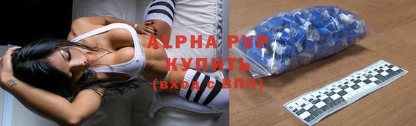гидра Алексин
