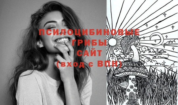 ПСИЛОЦИБИНОВЫЕ ГРИБЫ Алзамай