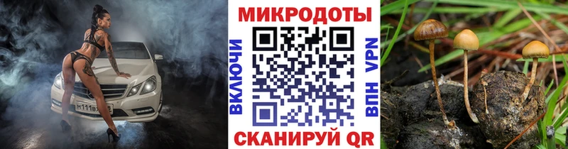 продажа наркотиков  Себеж  Галлюциногенные грибы мицелий 